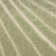Brantner Indoor / Outdoor Rug