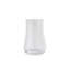 Hamish Glass-Clear Seeded-Tall