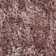 Fontana area rug Hand Tufted Rectangle Rose