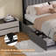 Upholstered Bed-1450193364