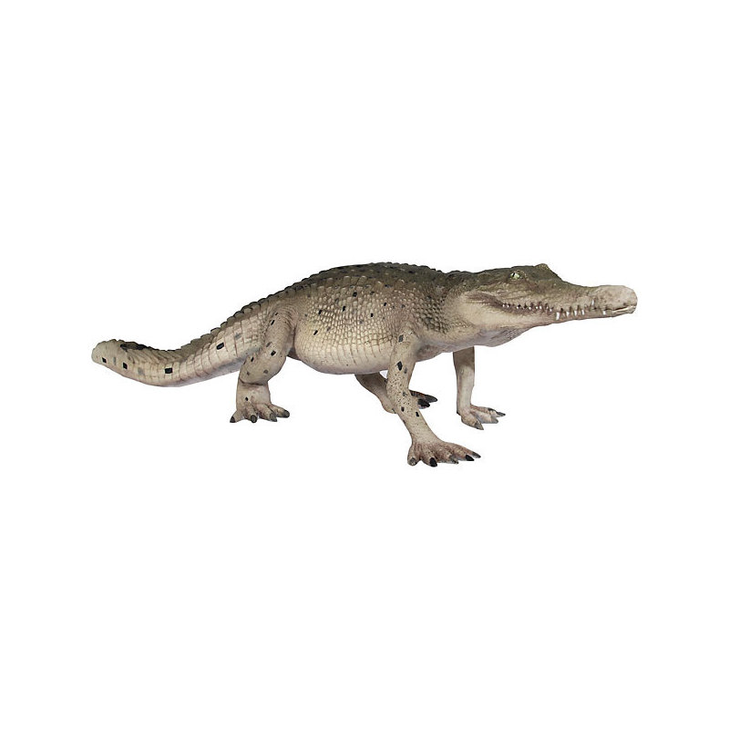 Crocodile de marche Boylon