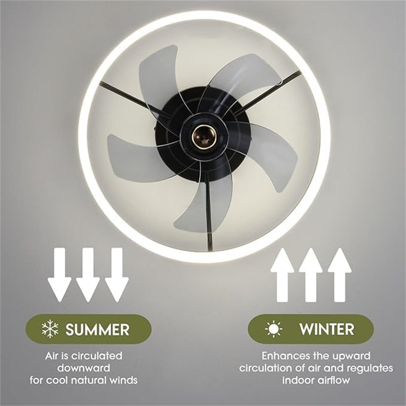 Ceiling Fan