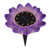 Purple is out of stock