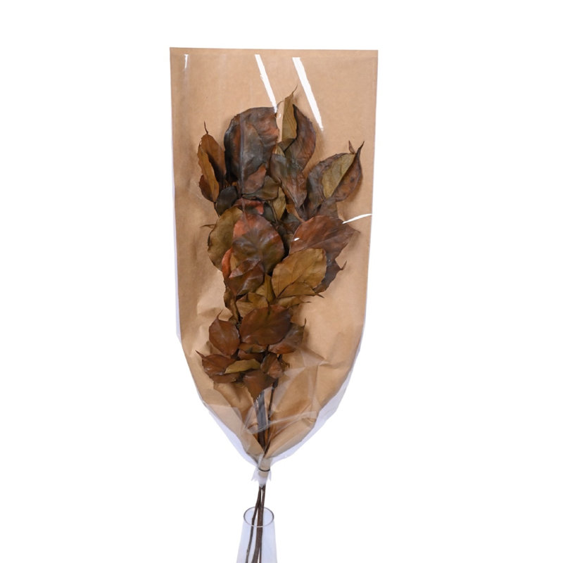 Bougon Branch 4Pc Paper Poly