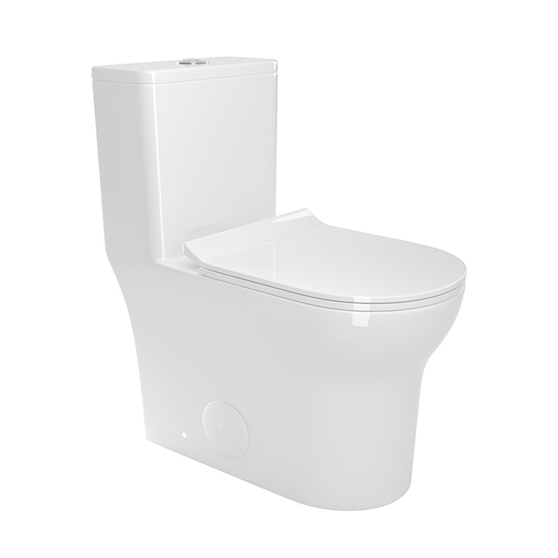 & Toilet, 1.1 And 1.6 , Ceramic, Elongated, White, Comfortable Configuration 1.1/1.6 Ceramic Comfortable, Installation