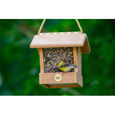 Birds Choice Modern Farmhouse Small Hopper Hanging Bird Feeder