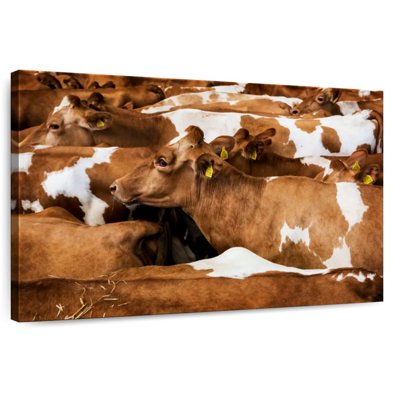 Brampt Guernsey Cows, 8" H x 12" W