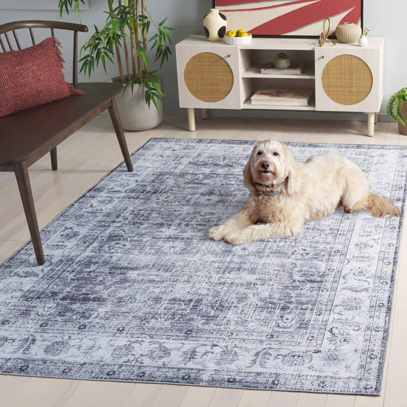 Arizona 207 Performance Machine Washable Oriental Rug, Rectangle 5' x 8'