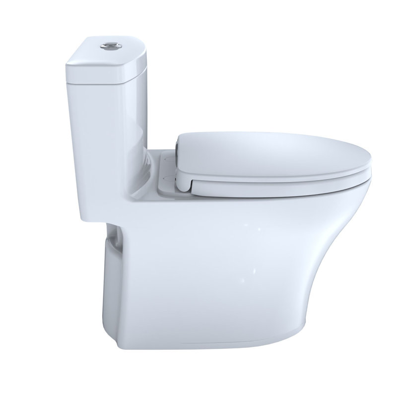 Aquia® Dual-Flush Elongated One-Piece Toilet with Tornado Flush (Seat Included)