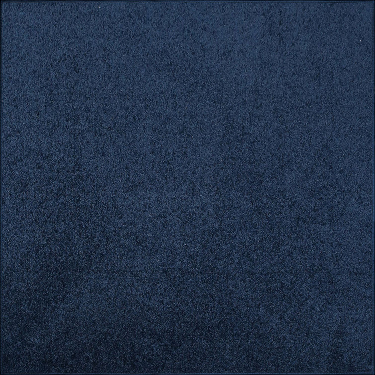 Modern Plush Solid Color Rug - Navy, Pet and Kids Friendly Rug. Made in USA, Rectangle, Area Rugs Great for kids, Pets, Event, Wedding 