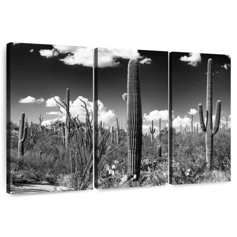 Alvord Black Arizona - Saguaro Cactus, 42" H x 65" W