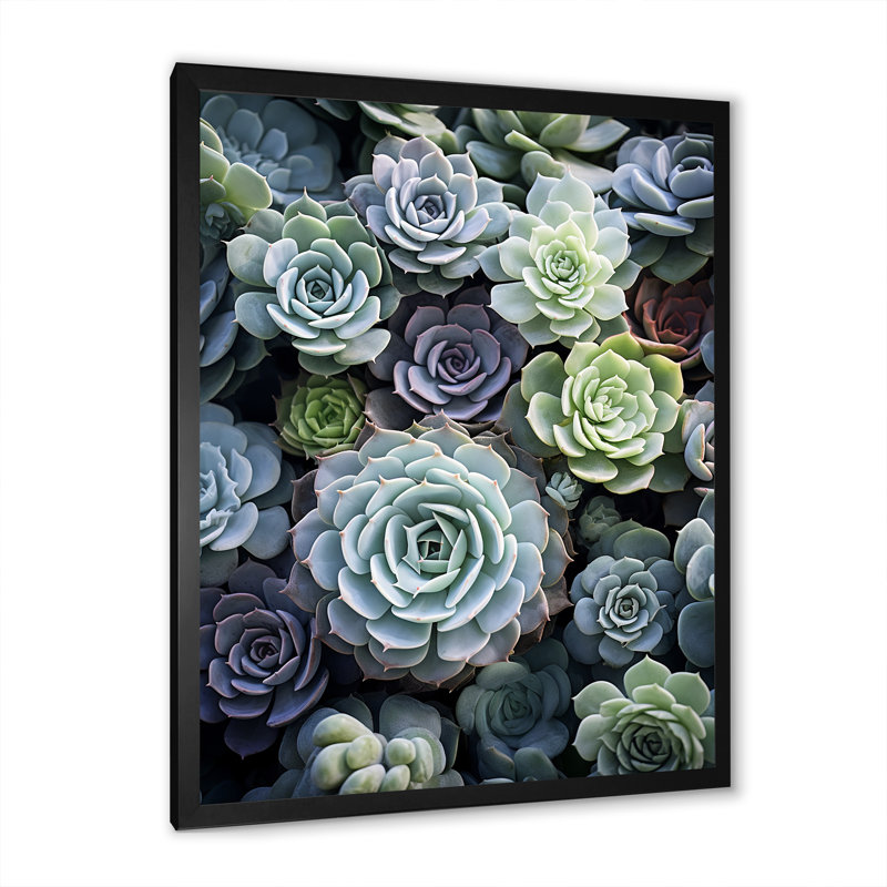 Plantes grasses vertes Jelizaveta Serene I, H 40 po x l 30 po x P 1,5 po, Cadre photo noir