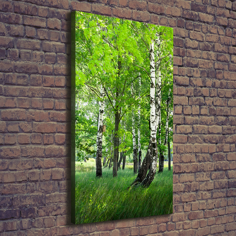 Birch Forest - Wrapped Canvas Print