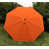 Orange is out of stock