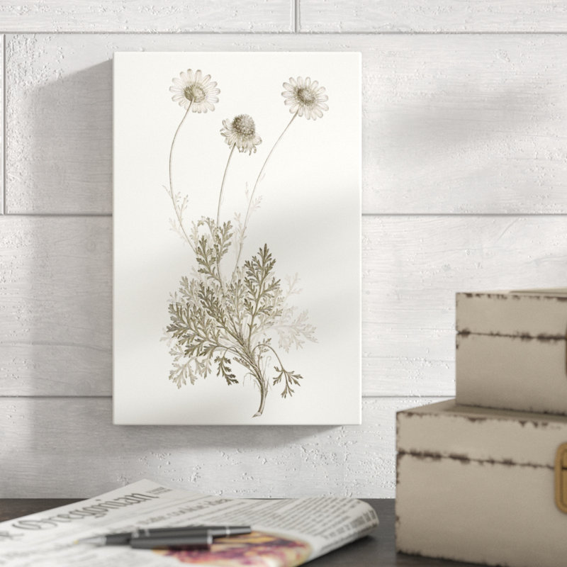 «Neutral Botanical Study VIII», peinture sur toile, H 12 po x l 8 po