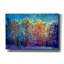  «Sparkling Woods» par Dorothy Fagan, art mural sur toile-1520494156