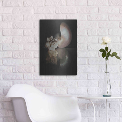 «Pearl Nautilus» par Cecile Baird