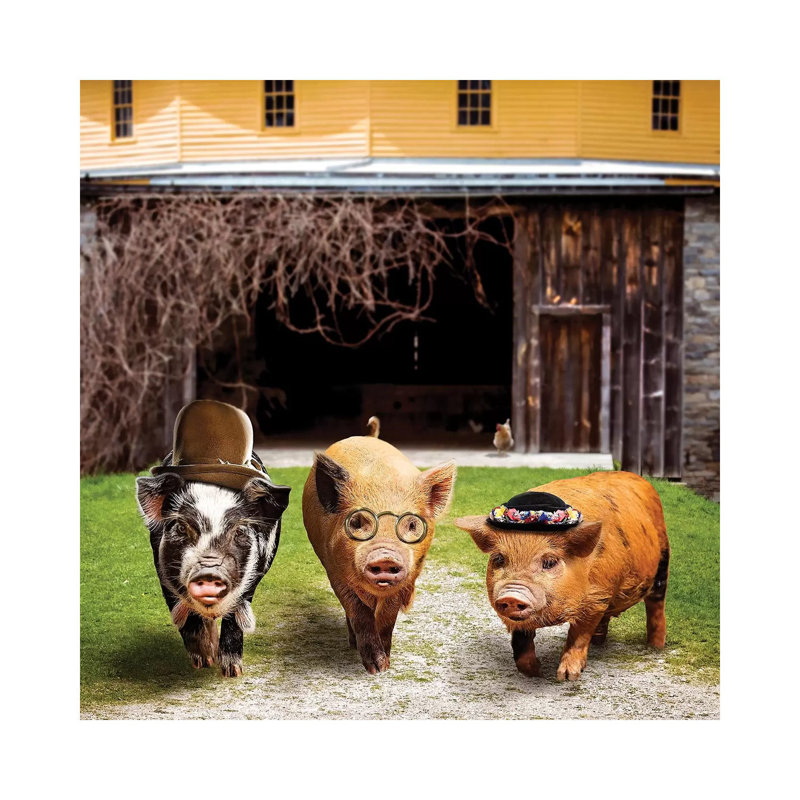 Pig Gang by Karen Burke - Wrapped Canvas Print, 66.04 cm H x 66.04 cm W