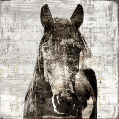 «Winter Stallion» par Sofia Fox, reproduction d'impression sur verre