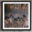 Karolis Janulis - Single Picture Frame Print-1581696260