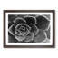 Succulent Plant - Picture Frame Painting Print-55613517-55613516