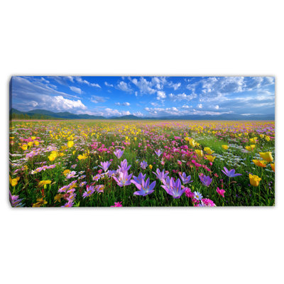 Pastel Mountain Meadow Wrapped Canvas Wall Art
