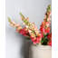 Real Touch Snapdragon rose 23 po-1814292122