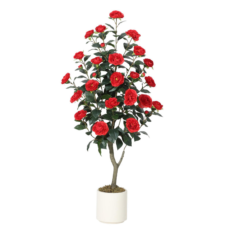Arrangement