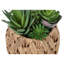 Plante artificielle, ensemble de 2, 9 po de hauteur, plante grasse, panier tissé brun, contemporain, moderne