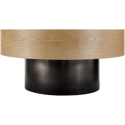 Shatay Modern Coffee Table