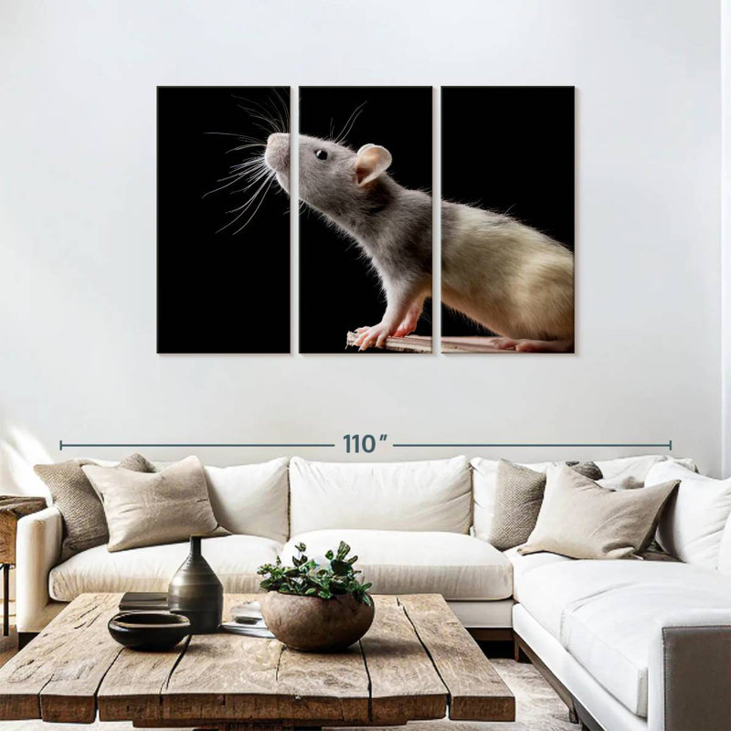 Brampt Rat Close Up, 48" H x 74" W