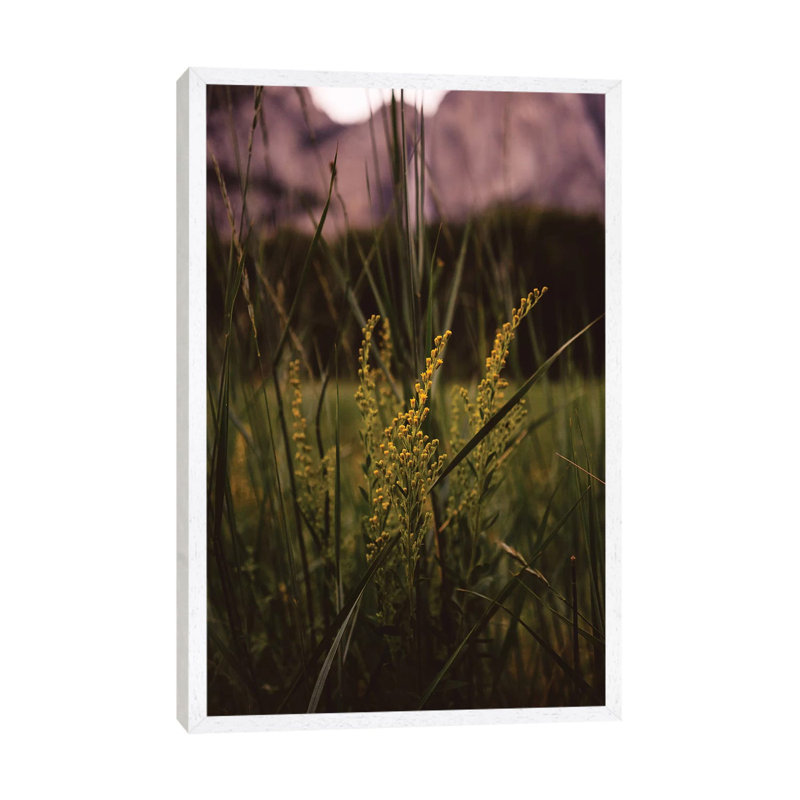 Yosemite Valley II by Bethany Young - Print on Canvas, 101.6cm H x 66.04cm W x 3.81cm D, White Framed