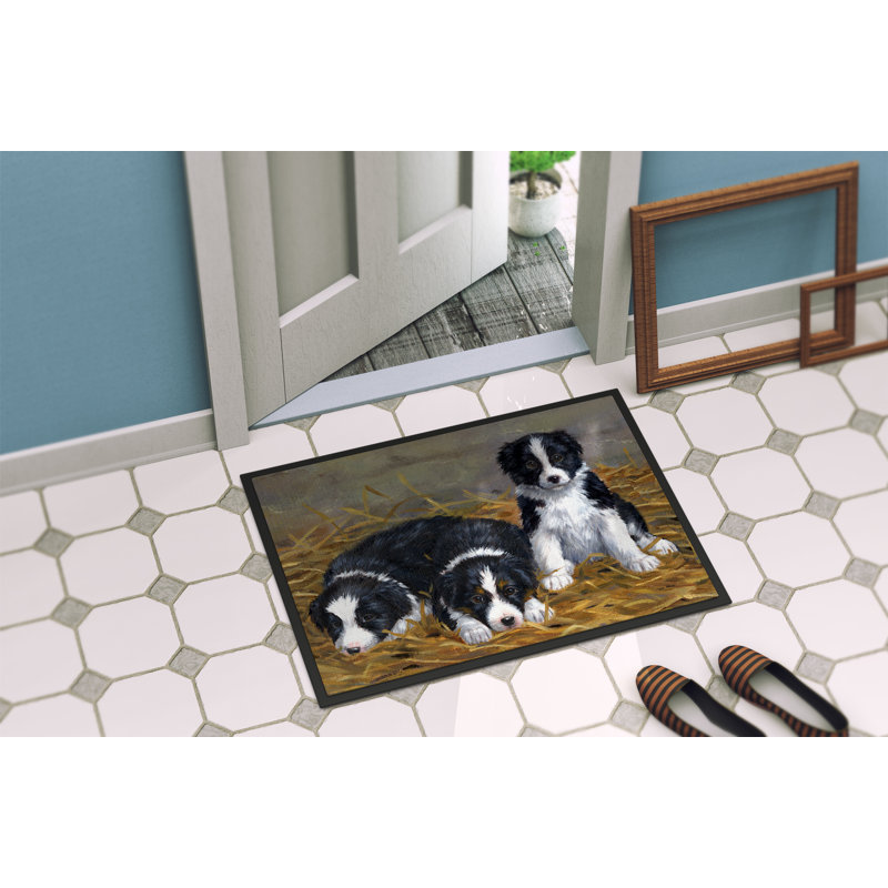 Paillasson d’extérieur antidérapant à bordure Collie Vallecito, Rectangle 2 pi x 3 pi