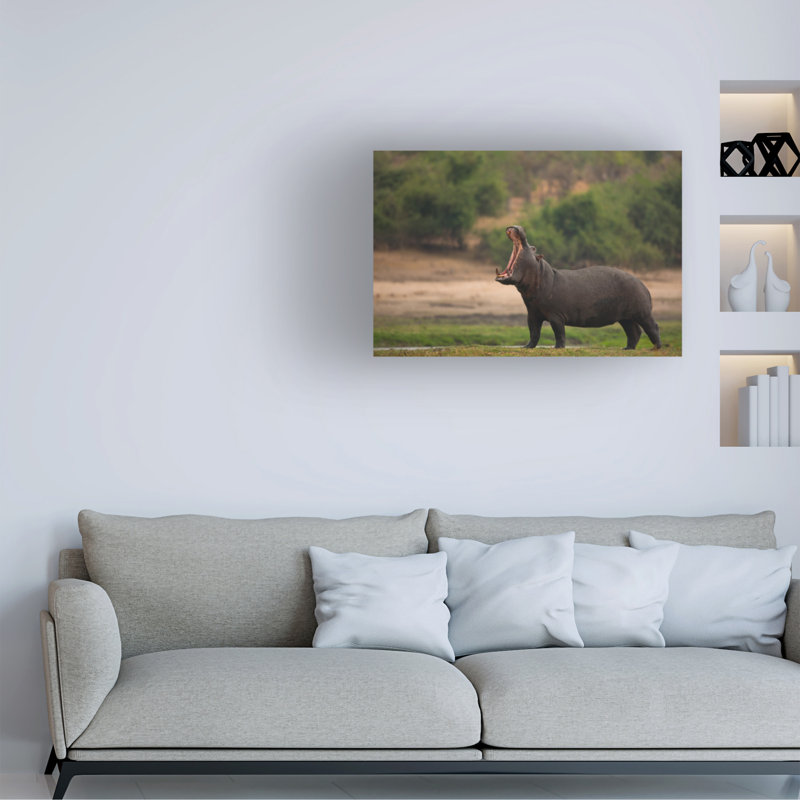 Art sur toile Amnon Eichelberg, H 12 po x l 19 po