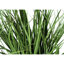 Pot 22,5 po Faux Grass Plant en polypropylène (PP)