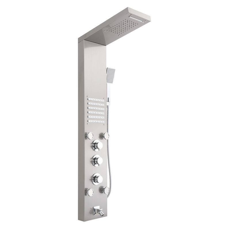 Panneau de douche 47,24 po avec pomme de douche fixe, Argent