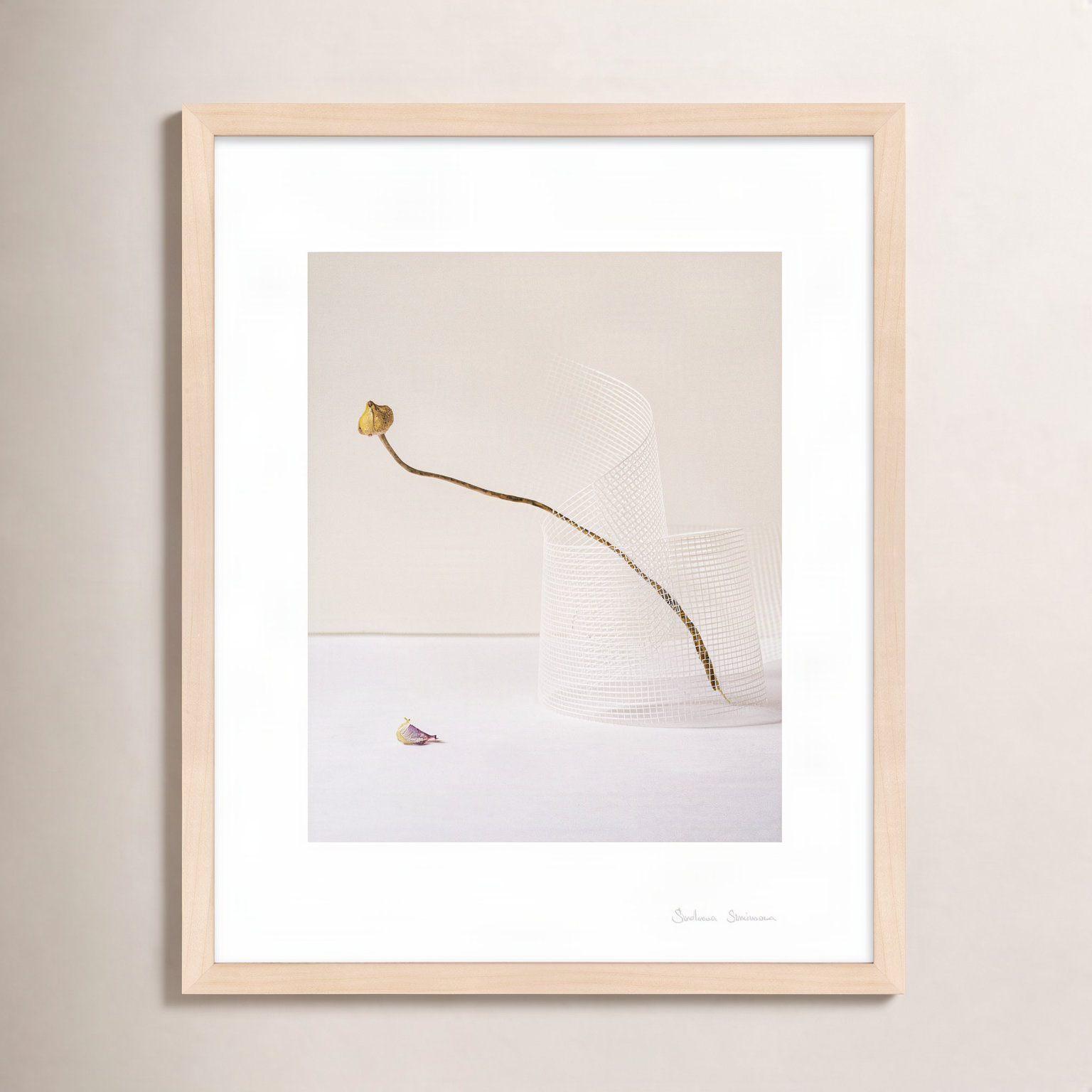 Lombard "Balance 2" Photo Print, 20" H x 16" W x 1.25" D, Maple