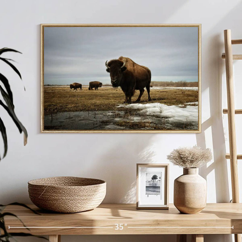 Bison Cloud Day, Cadre flottant en bois naturel, 25 po x 17 po
