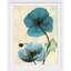 "Manigault", Islande, coquelicot par Kiranjit, reproduction de photo-26406901-26442196