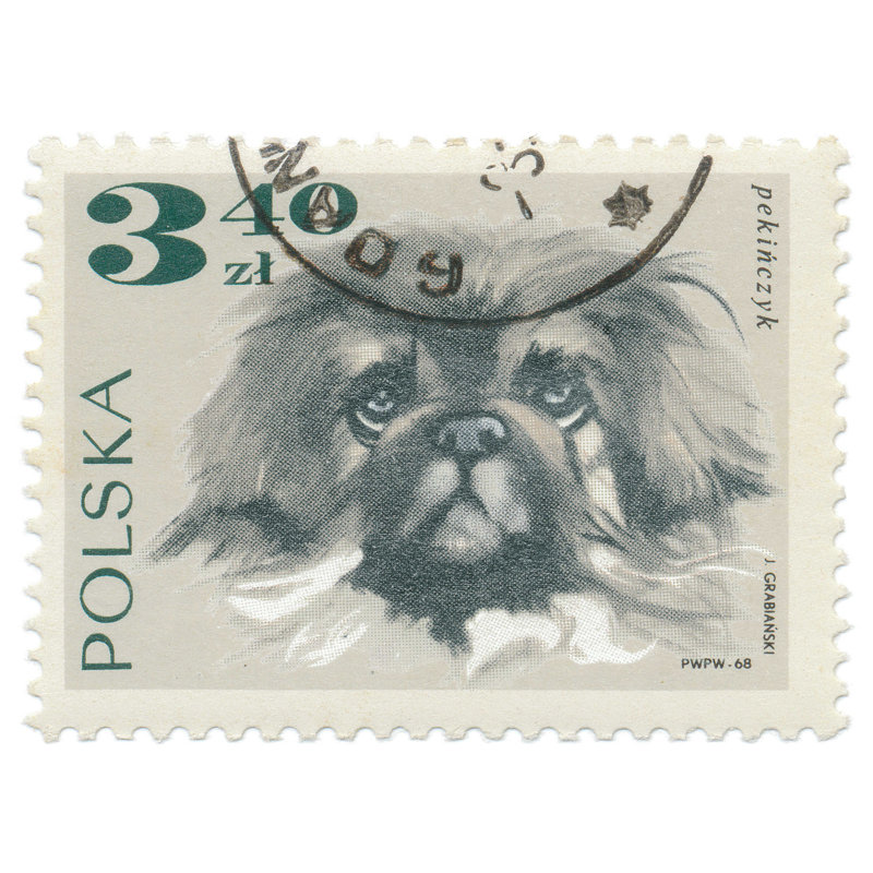 «Pologne Stamp III» par Wild Apple Portfolio - reproduction sur toile, H 12 po x l 16 po