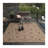 Fierce Portico Brown-Black Indoor/Outdoor Round Rug-1532492347