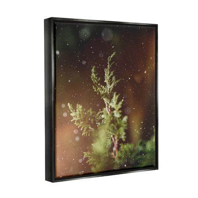 Winter Snowfall Night Pine Tree - Photographie à cadre flottant sur toile