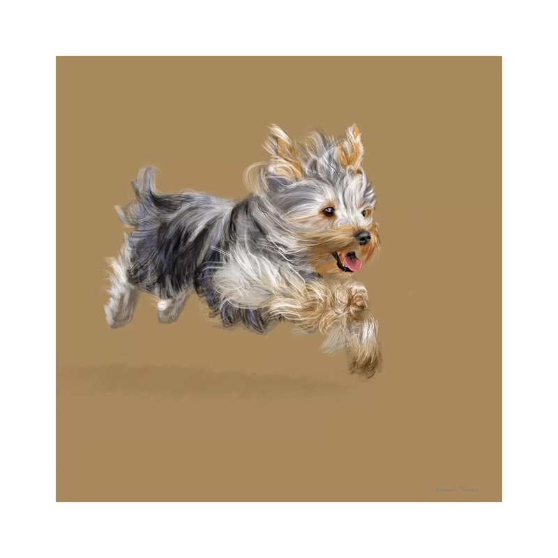 Yorkshire Terrier by Vicki Newton - Wrapped Canvas Painting, 45.72 cm H x 45.72 cm W x 3.175 cm D