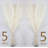 40'' Pampas Grass Grass