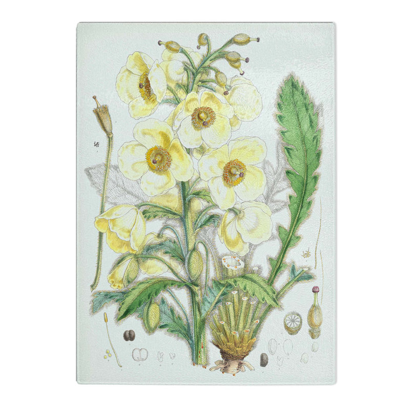 Glass Himalayan Yellow Poppy by W. H. Fitch Chopping Board, 28.5 cm W x 20 cm L