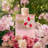 Peony Blossom Reed Diffuser Set-1656338108