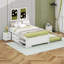 Lit double pleine grandeur, lit en bois massif avec lit gigogne, boîte de rangement sous le lit à 2 tiroirs, tablettes et table de chevet-108043893