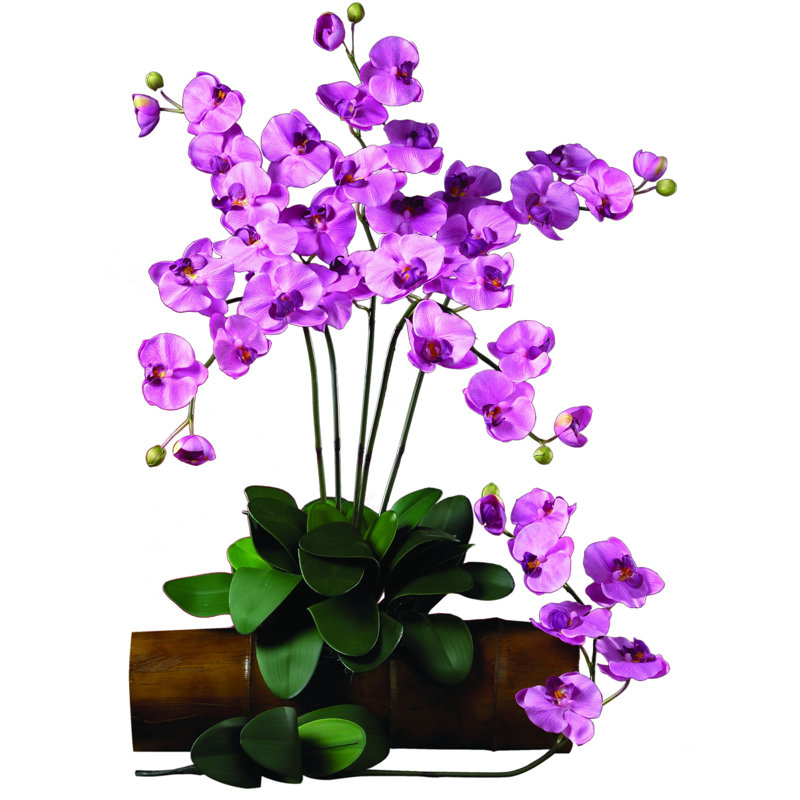 Vaporisateur d'orchidée en soie Phalaenopsis