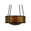 Pomona 4 - Light Chandelier