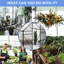 Serre en polycarbonate noir de 6 pi x 6 pi - Toit réglable pour embellissement du jardin toutes saisons, porte coulissante, structure rouille noire, base galvanisée